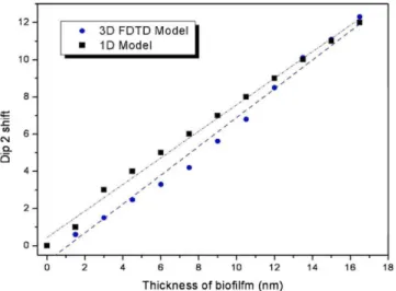 Fig. 5. Theoretical predictions of displacement of Dip2 versus thickness of biological  material