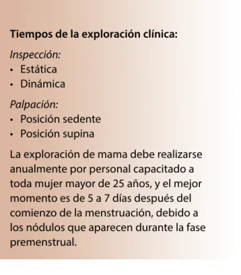 Figura 7. Yemas de los dedos 2°, 3° y 4° ligeramente 