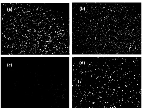 Fig. 7. Fluorescence micrographs (400x) of the AlOO/SBS sample, without sulfur added, taken at stirring times: (a) 2 h; (b) 4 h; (c) 6 h