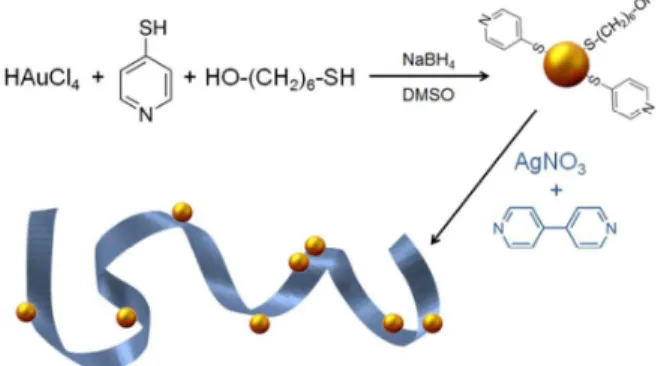Fig. 2 Representative FE-SEM images of silver-bipyridine nanohybrid without 