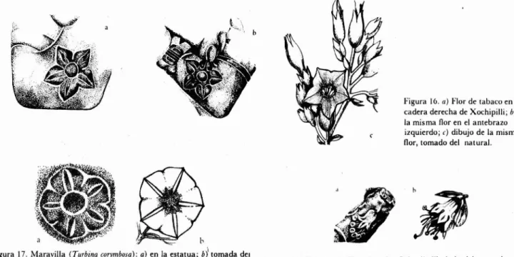 Figura 16 . a ) Flor de taba co en la c ader a derecha de Xo chipilli ; b)