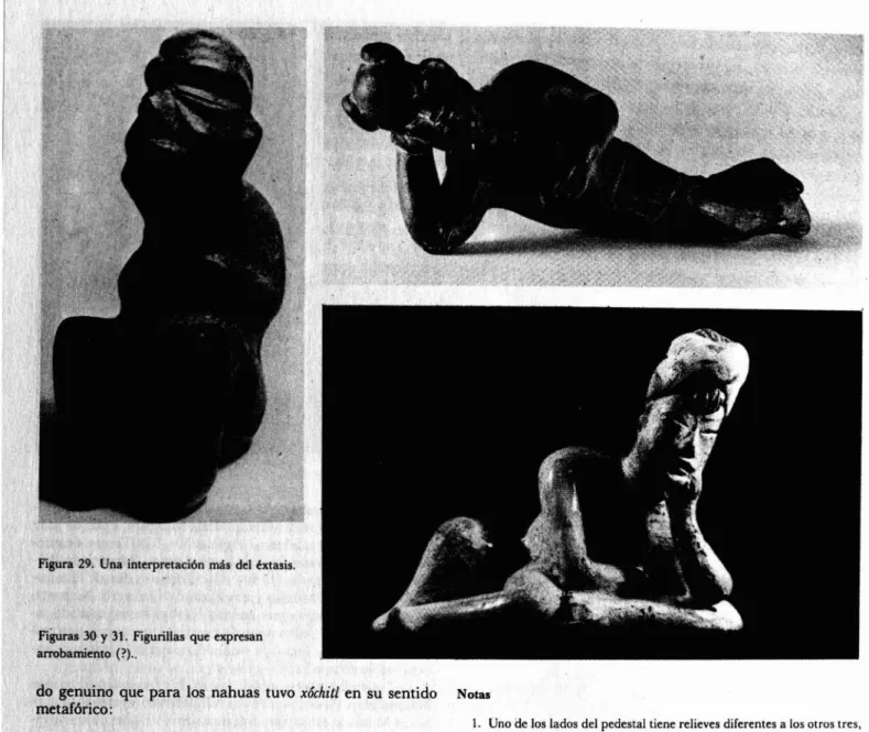 Figura 29. Una interpretación más del éxtasis .
