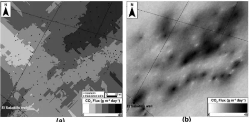 Fig. 10. (a) Surticial distribution of the diffuse soil (0 2 flux, in g m- 2 day-" for El Saladillo site, by means of a kriging estimation