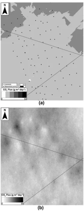 Fig. 15. (a) Surficial distribution of the diffuse soil CO 2 flux, in gm- gm-2