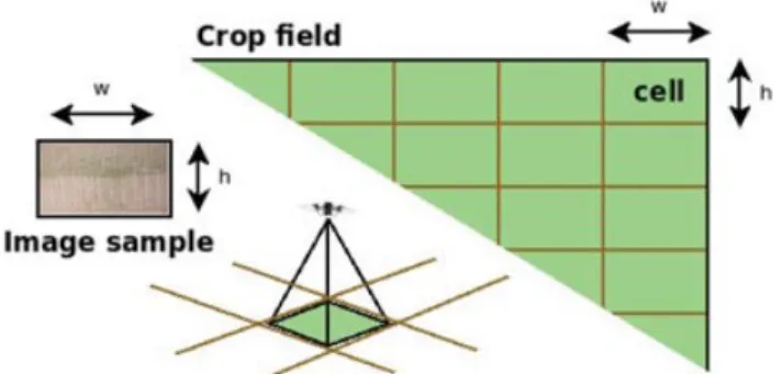 Figure 3. Area sampling schematic. The required resolution and the FOV of the cameras determine cell size.