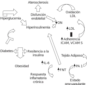 Cuadro 8.  Medicamentos y su efecto sobre las lipoproteínas.