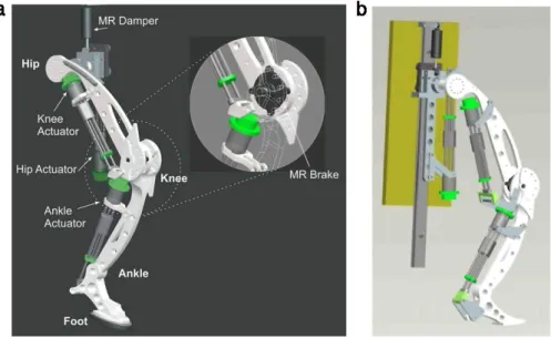 Fig. 3. Design of first prototype of the HADE leg. (a) The MR brake at the knee is showed in zoom-in view; (b) reverse view of the actuators