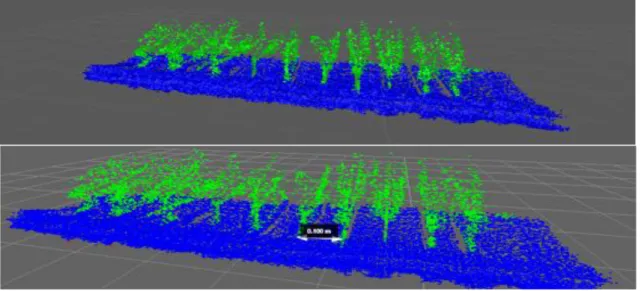 Figure 6. Point cloud representation of 11 3D plants obtained by the LIDAR sensor. 