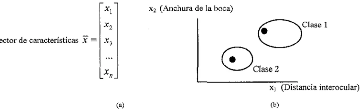 Figura 2.2. (a) Vector de n características que representa a una cara o patrón, y (b) clases de patrones  correspondientes a dos individuos distintos, para una representación que utiliza dos características