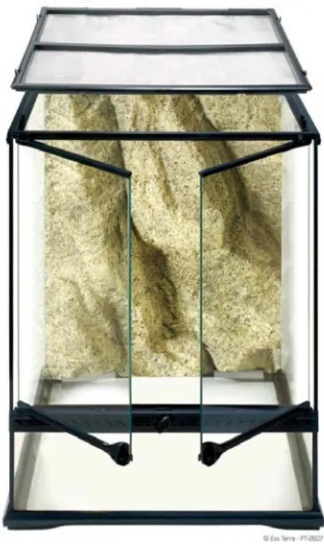 Figura 4.1: Terrario