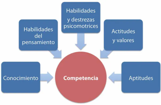 Figura 1.  Componentes de la competencia.