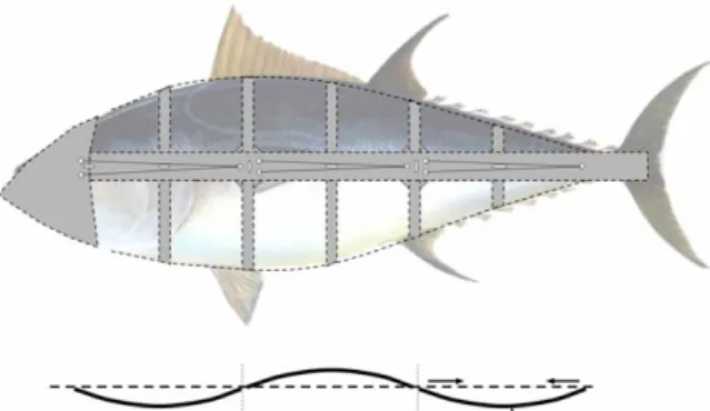 Figure 2: Lateral and upper view of the deformable struc- struc-ture.