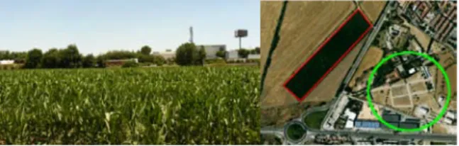 Figure	  6	  -­‐	  Maize	  field	  (red	  square)	  and	  UPM-­‐CSIC	  headquarters	  (green	  circle).	  