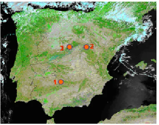Figure 1: Study areas: (1) Pedroches, (2) Rodenal, (3) Valsaín (Terra-MODIS image acquired on  30/07/2005, downloaded from MODIS Rapid Response System) 