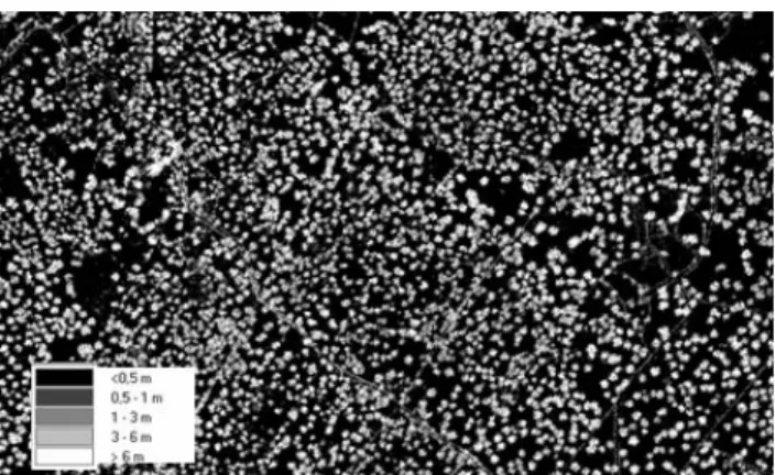 Figure 3:    Distribution of maximum heights of vegetation in a dehesa area obtained from LiDAR data