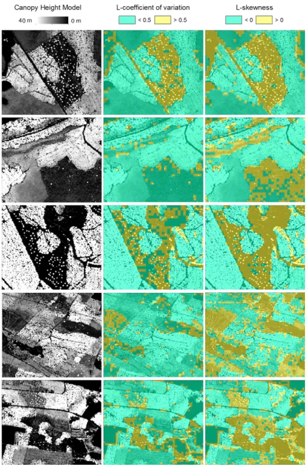 Fig. 4. Examples of resulting maps of forests stratified with rule-based method. Left: canopy height model (CHM)