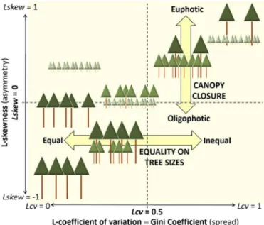 Fig. 5. Schematic diagram representing the patterns of ALS return distribution that can be 