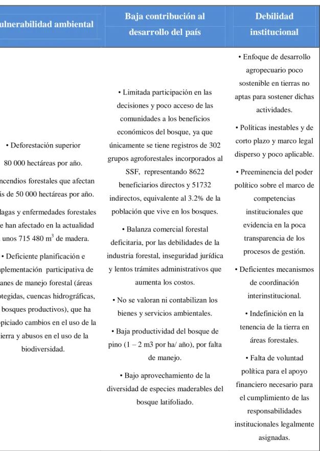 Tabla 7. Enfoques y causas sobresalientes de la problemática forestal