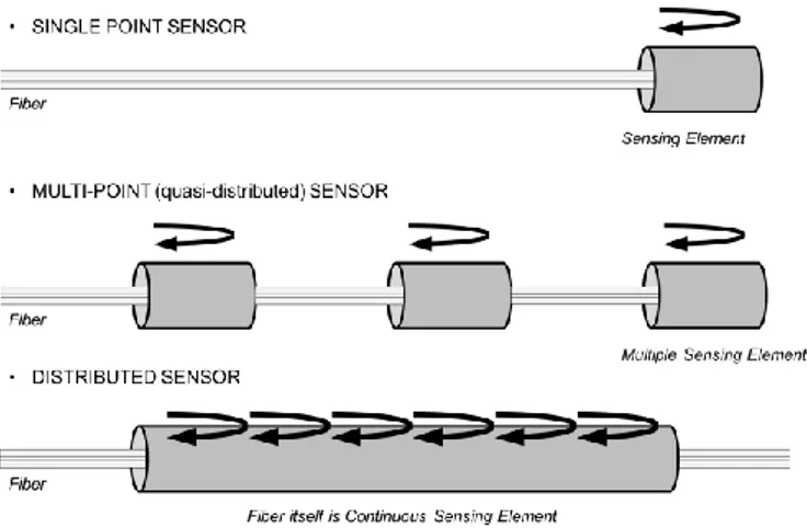 Figure 1. Topology of fiber-optic sensors. 