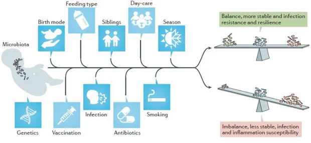 Figura 5. Factores ambientales y del hospedador que afectan en la microbiota respiratoria