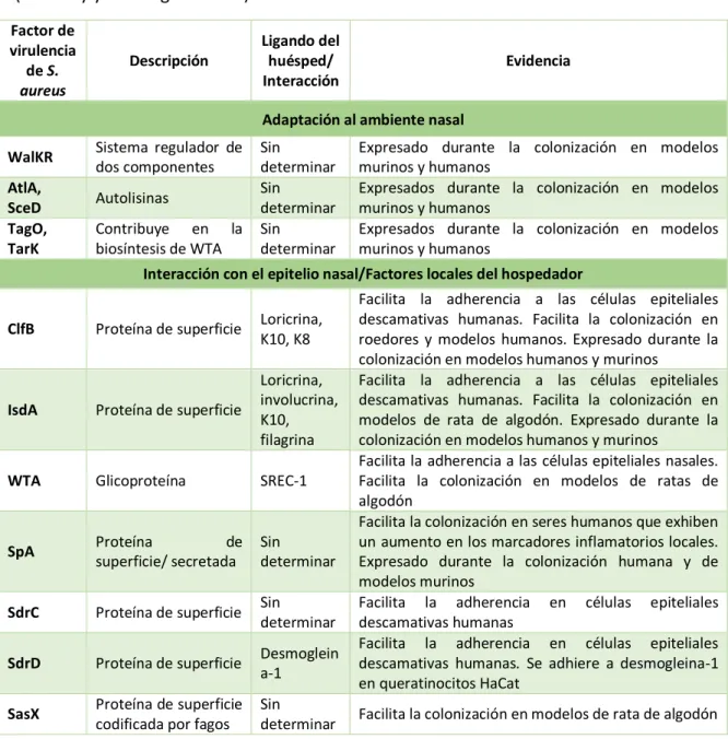 Tabla 1. Factores bacterianos involucrados en la colonización nasal de S. aureus 