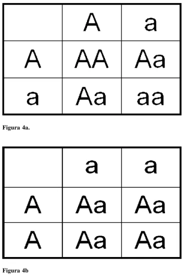 Figura 4cFigura 4a.
