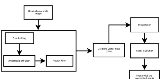 Figure 1: Diagram used for the glottis detection.  through a transformation according to the model YIQ 