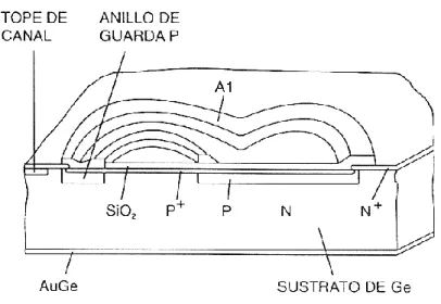Figura 20.   Estructura de un fotoreceptor APD. 
