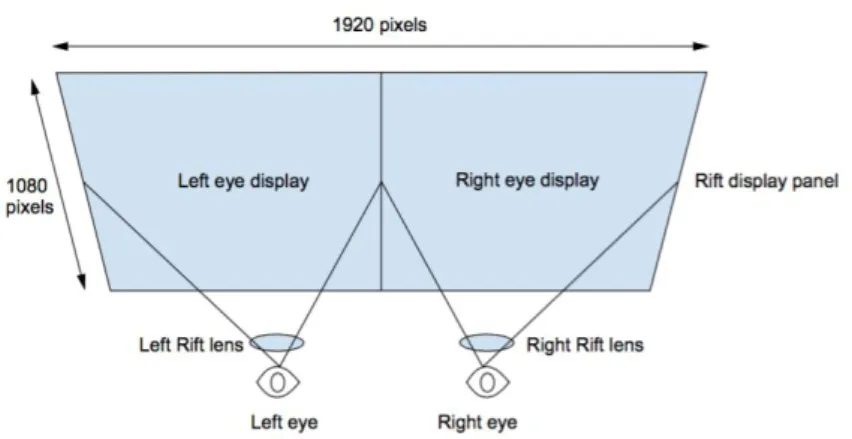 Figura 12 - Display de las Oculus Rift DK2 [10] 