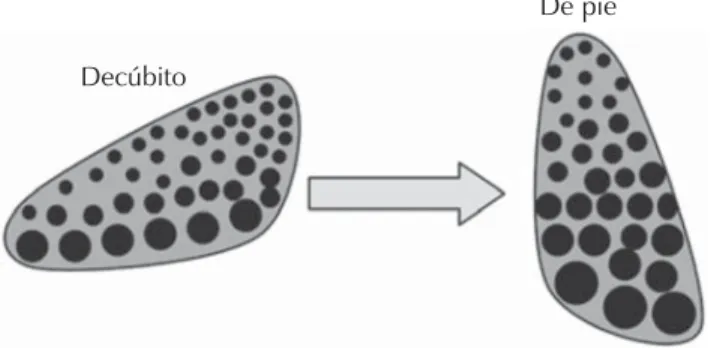 CUADRO CLÍNICO