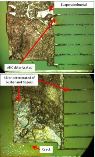 Figure 4. Microscope photograph of the typical evolution of the front  metallization in a solar cell tested at high temperature (164  o C)