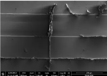Figure 8. Upper view SEM image of the metallization of the fingers  of a solar cell tested at low temperature 