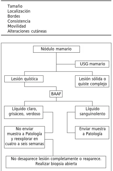 Cuadro 2. Características a evaluar de los nódulos mamarios.