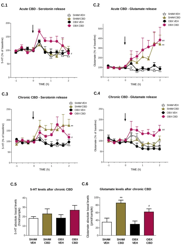 Figure C. Differential effects of acute and chronic CBD upon 5-HT and glutamate release  in ventro-medial prefrontal cortex of OBX and sham mice