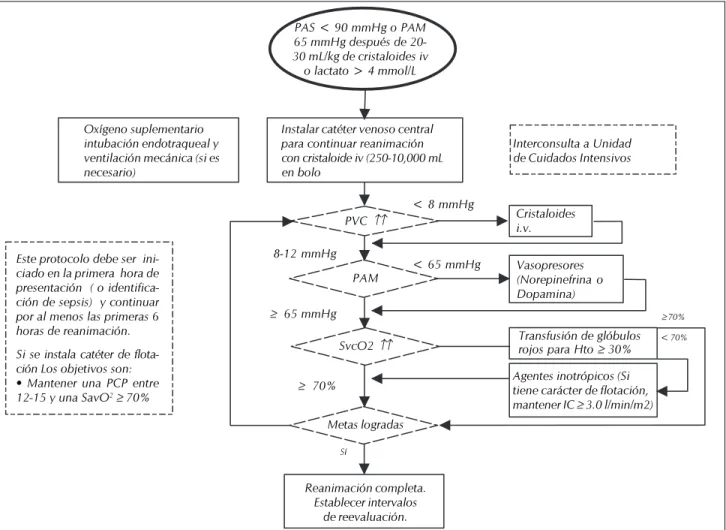 Figura 2. Algoritmo de manejo en sepsis.
