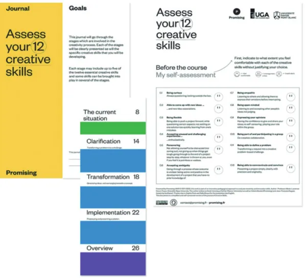 Figure 4. Overview of the journal of creative skills developed by the community