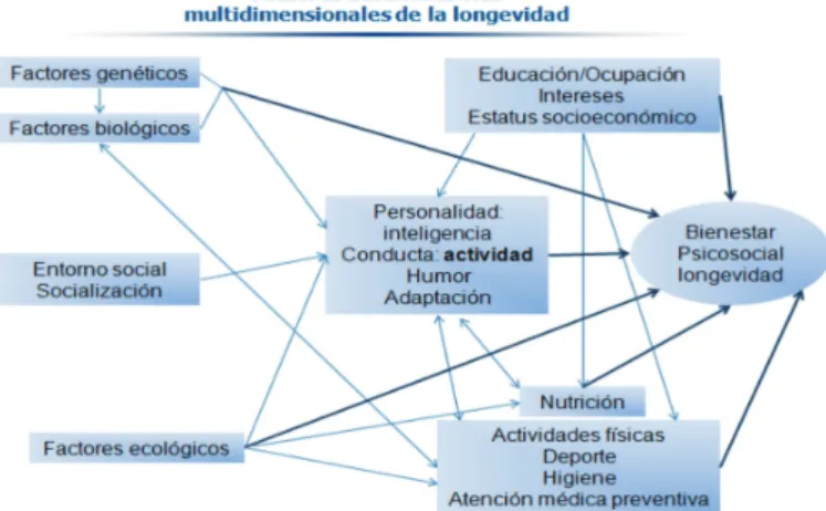 Figura 1. Factores determinantes multidimensionales 