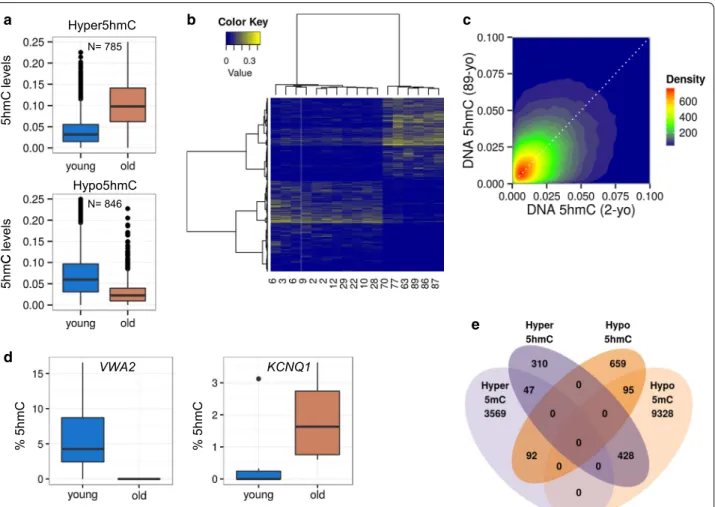 Fig. 3  DNA hydroxymethylation changes in MSCs of two different human age groups. a Box plots showing the Δß levels of both hyperhydroxym‑
