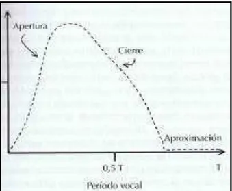 Figura 4. Las fases del ciclo vocal. Fuente: Tratado de Otorrinolaringología y 