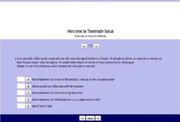 Fig. 1. Ejercicio de selección múltiple. 