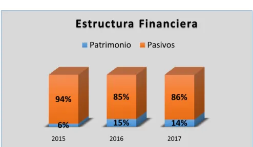 Ilustración 6. Estructura financiera 