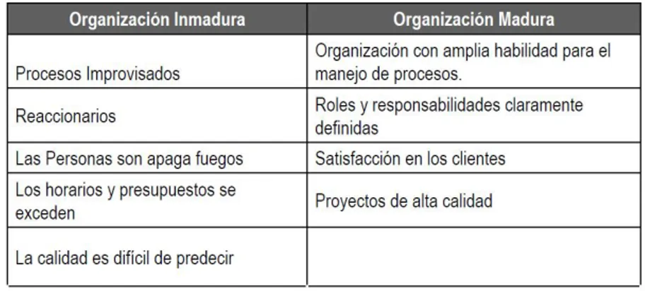 Ilustración 5. Una organización madura versus una organización inmadura. Fuente: Pardiz y Levin (2002).
