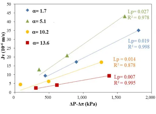 Fig. 3. Experimental flux data as a function of  D and effective pressure. Linear fitting of solution 