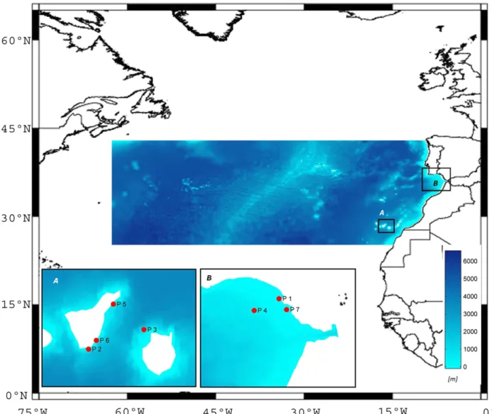 Table 1 provides details on the mooring locations asso- asso-ciated with the seven buoys used in the analysis (see Fig