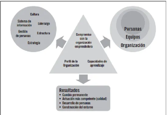 Figura 4: Modelo de Gestión del Conocimiento consultora KPMG. 