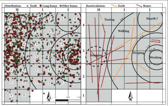 Figure 7: There exists a spatial sorting of the bone types: long bones fragments cluster in two 