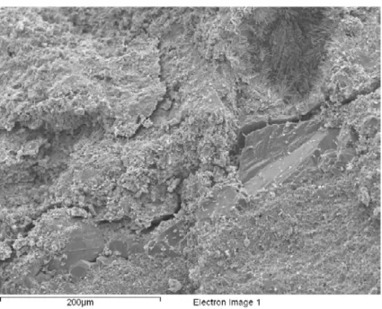 Fig. 5.  Crack growth. 