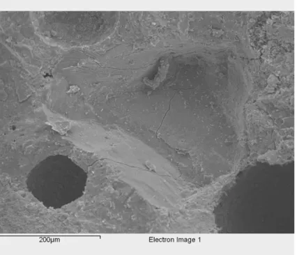 Fig. 14. Micrograph of the main fracture surface of a H-0,65-100% after failure in fatigue