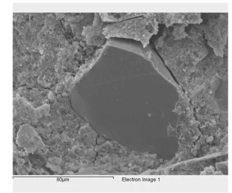 Fig. 15. Micrograph of the main fracture surface of a H-065-20% after failure in fatigue
