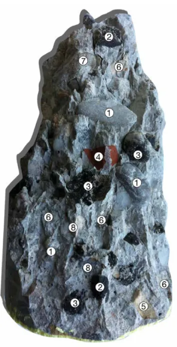 Fig. 16. Different failure modes of the aggregate in fatigue failure. 